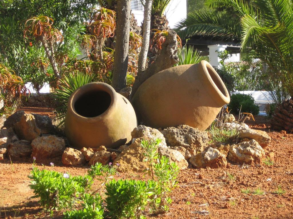 Hacienda Encanto Del Rio Playa DPlaya Des Figueral 외부 사진